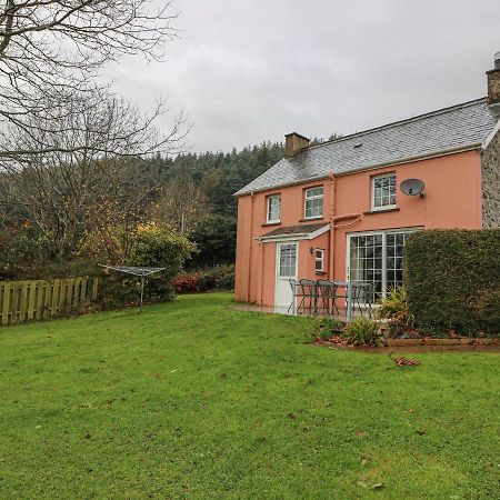 Pen Y Bryn Llanafan Exterior photo